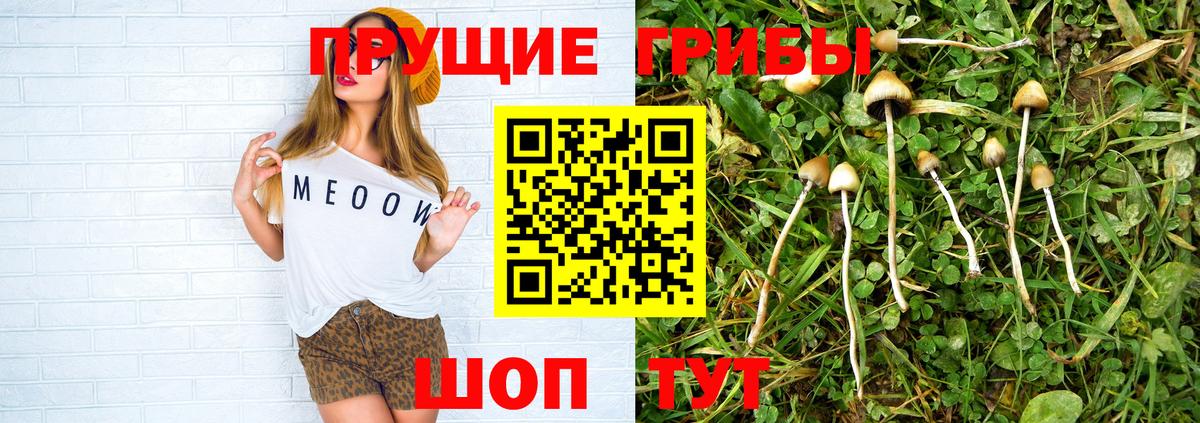 Галлюциногенные грибы Cubensis Ухта