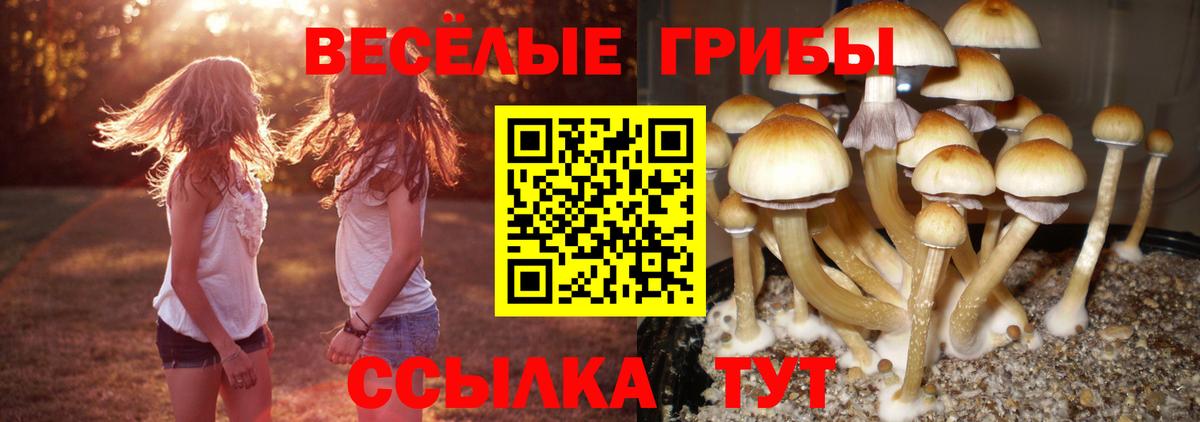 Галлюциногенные грибы ЛСД  Вход с VPN  Ухта 